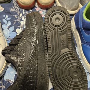 Crocodile Air Force One